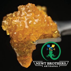 Newt Brothers Unfiltered Live Resin Sativa Electric Pineapple 1g
