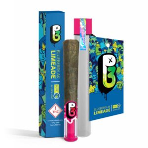 P3 Infused Pre-Roll Hybrid Blueberry AK Limeade 1g