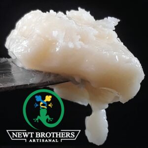 Newt Brothers Unfiltered Live Badder Sativa Synergy 1g