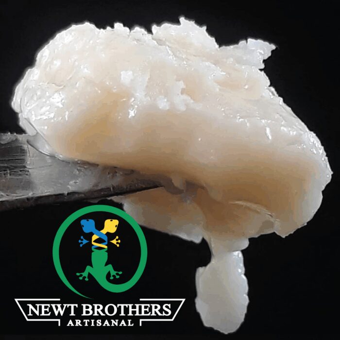 product_bdeb2086-b3d8-4f5b-9a9f-21e29d330032 Newt Brothers Unfiltered Live Badder Sativa Synergy 1g - Image 1