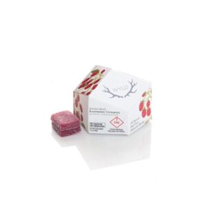 Raspberry Gummies 10x10mg 100mg