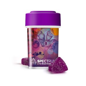 Berry Gelato Rosin Gummies 10x10mg 100mg