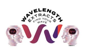 Wavelength Extracts Cured Resin Purple Onyx 1g