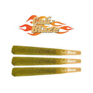 Cali Blaze Infused Pre-Roll 3pk Dragon Fruit 1.8g