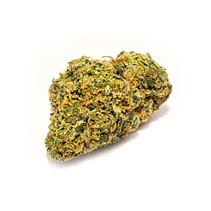 Tropical Flame - Hybrid - Image 1