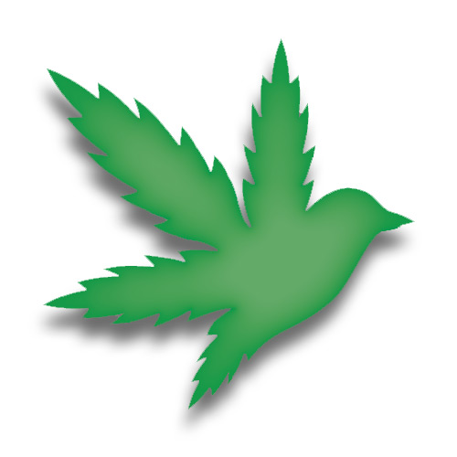 flyhi-bird-new Blink Square Glass Ashtray Color - Image 1