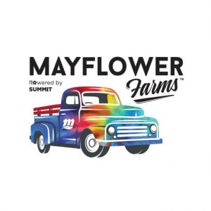 Mayflower – Flower – Plat. Huckleberry Cookie 3.5g